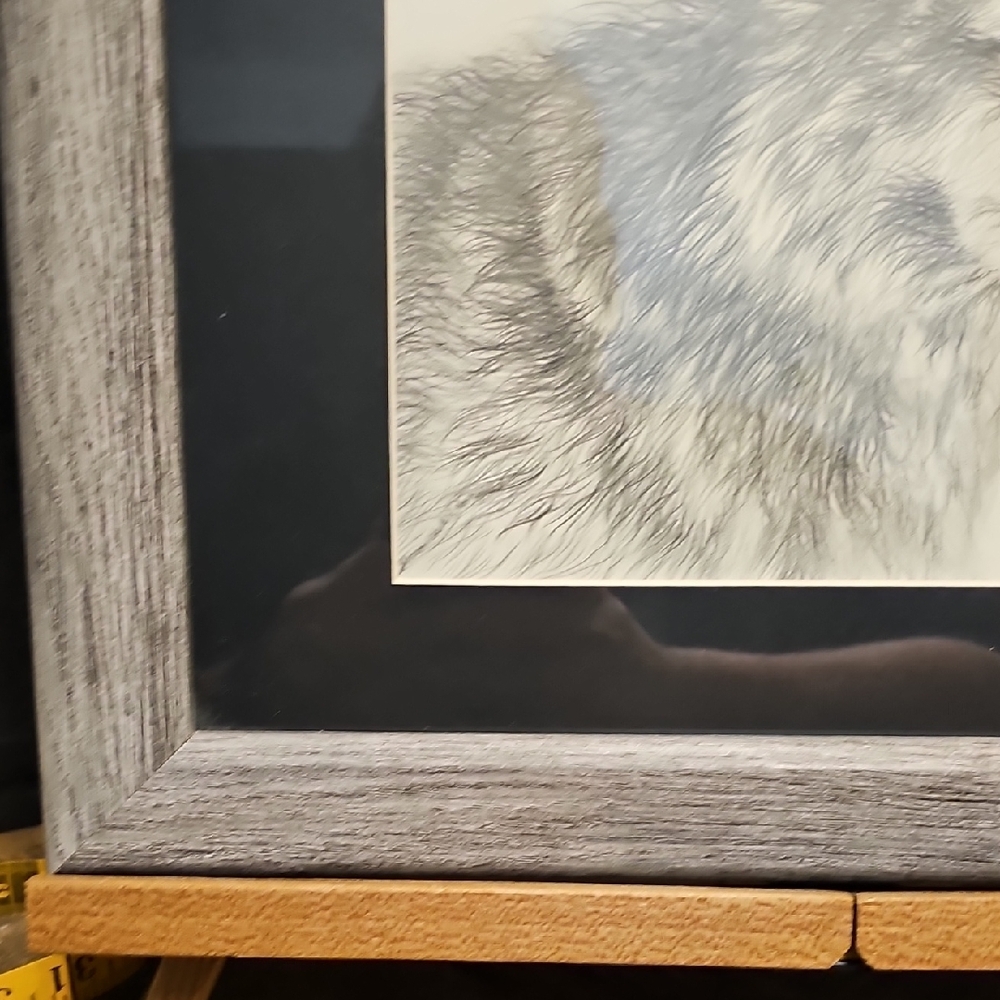 Gray Wolf Illustration in Gray Frame - Picture 5 of 11